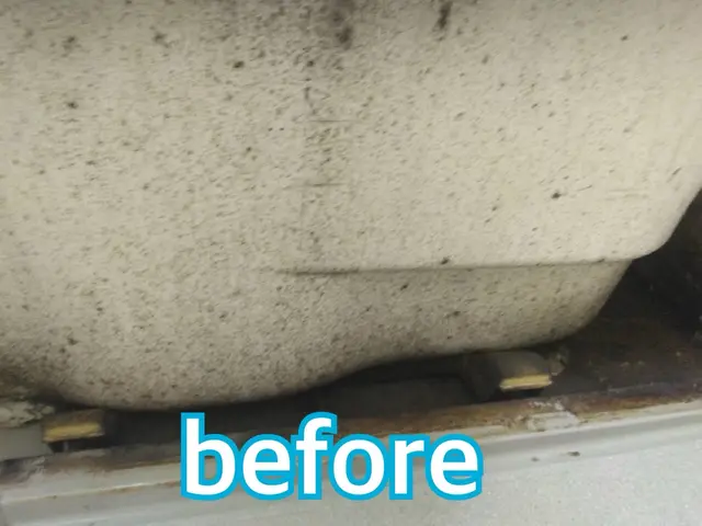 【この機会に害虫対策無料!!】害虫駆除と清掃のプロが手掛ける水回りクリーニング！サービスの画像