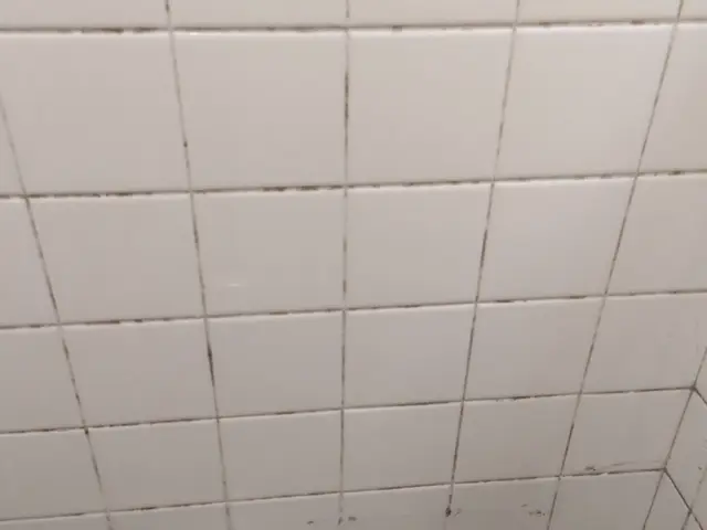 【高品質】プロの技術で感動を♬黒カビ除去してフッ素コートでつるピカ♬サービスの画像