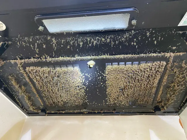 コンロの五徳やシンク回りもサービスでキレにします。サービスの画像