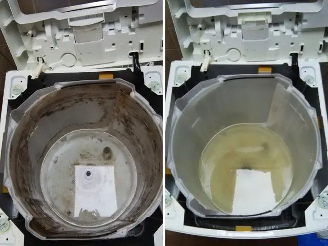 経験豊富♬汚れ一掃♬    爽快☆洗濯機分解洗浄サービスの画像