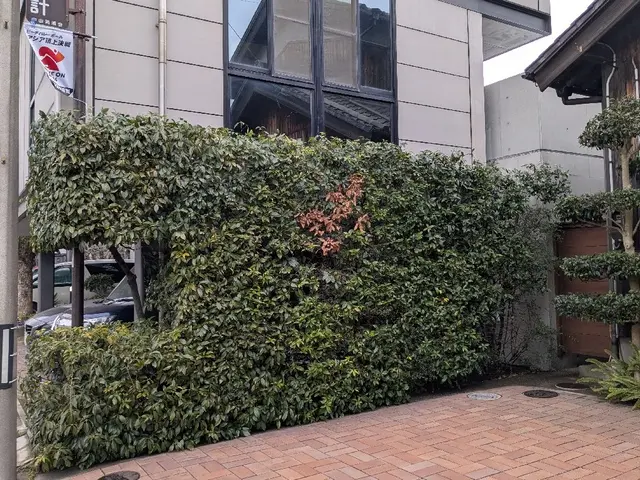 お庭の管理・庭木の剪定サービスの画像