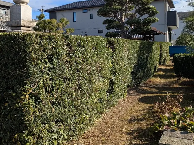 お庭の管理・庭木の剪定　和の庭も洋の庭も確かな技術で綺麗な状態に保ちます。サービスの画像