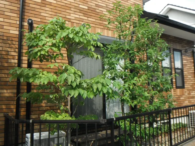 お庭の管理・庭木の剪定サービスの画像