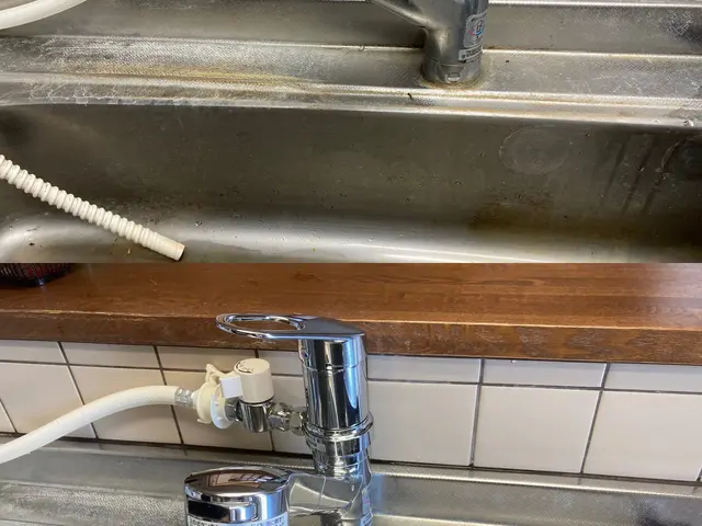 日本初！環境に優しいハウスクリーニング！もちろん身体にも！きれいごとできれいに。サービスの画像