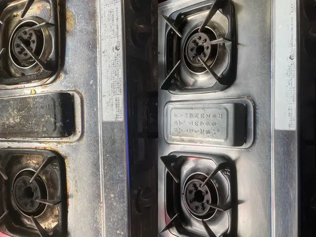 日本初！環境に優しいハウスクリーニング！もちろん身体にも！きれいごとできれいに。サービスの画像