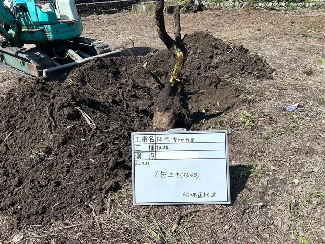 空き地、自宅等、伐採から抜根お任せください！サービスの画像