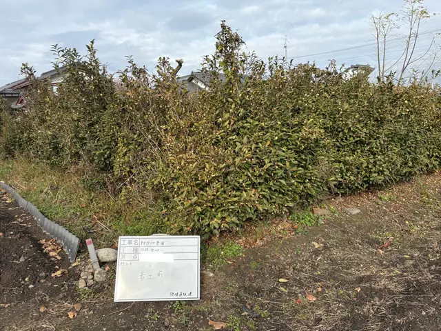 空き地、自宅等、伐採から抜根お任せください！サービスの画像