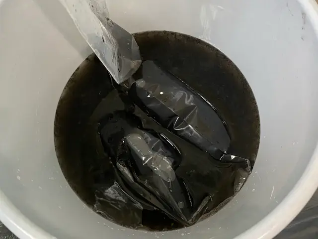 夏のカビや汚れを落とし冬使う前にキレイに！サービスの画像