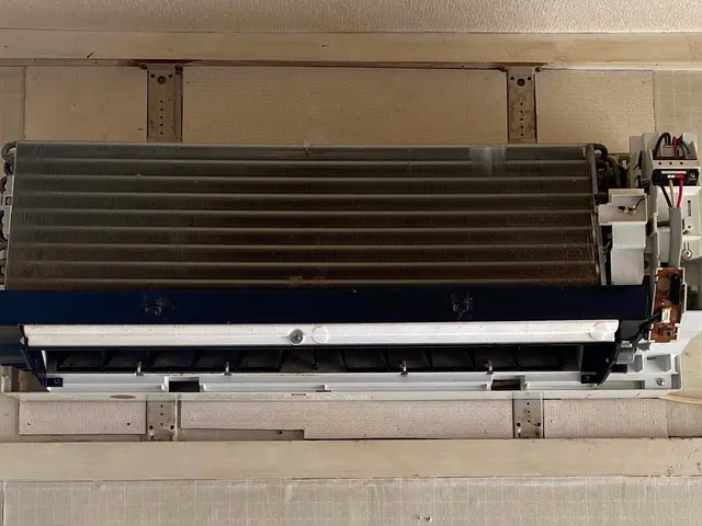 夏のカビや汚れを落とし冬使う前にキレイに！サービスの画像