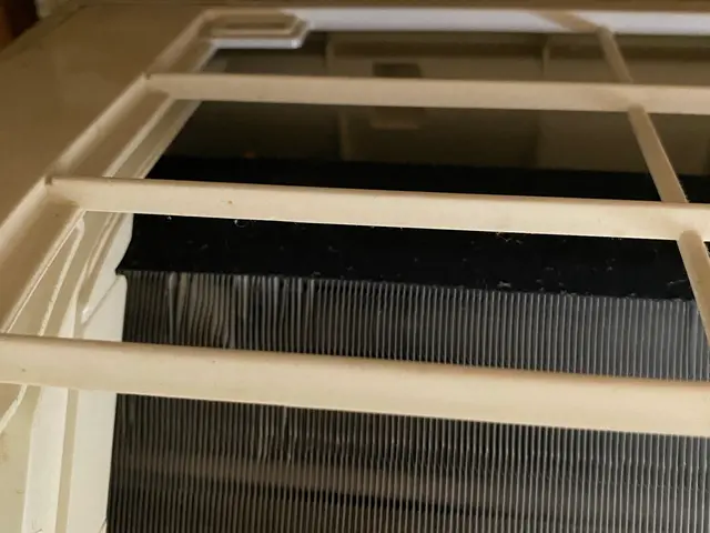 夏のカビや汚れを落とし冬使う前にキレイに！サービスの画像