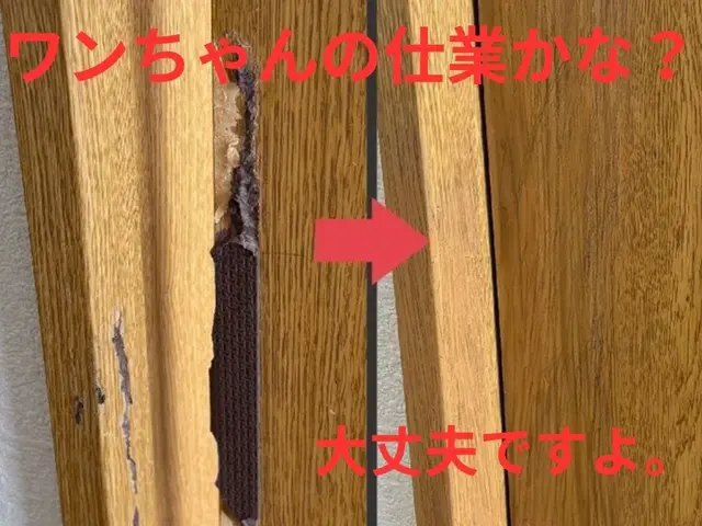 大家様・管理会社様からリピート多数！新築と賃貸を専門に対応中！サービスの画像