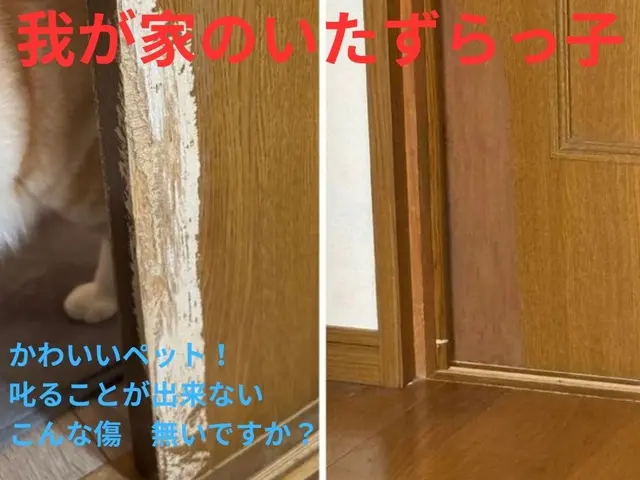 大家様・管理会社様からリピート多数！新築と賃貸を専門に対応中！サービスの画像