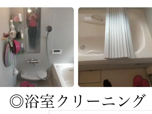 【オリジナル洗剤使用。油汚れに水垢、カビ等に効果バツグン！！ 】損害保険加入店サービスの画像