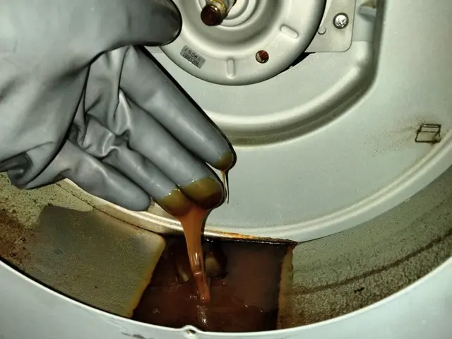 【オリジナル洗剤使用。油汚れに水垢、カビ等に効果バツグン！！ 】損害保険加入店サービスの画像