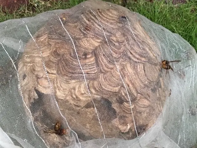 【口コミ高評価店】夫婦で力を合わせて全力対応します！◎原則即日対応◎事前見積もりサービスの画像