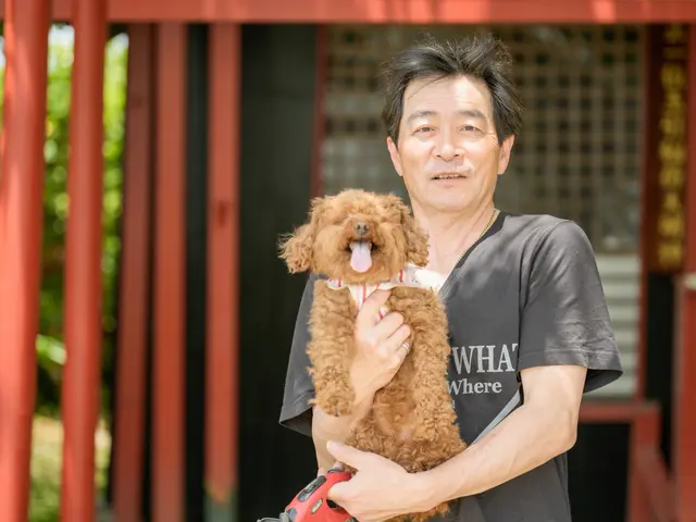 大切なご家族のワンちゃん猫ちゃん、様々な動物を自然体に可愛く撮影いたします！サービスの画像