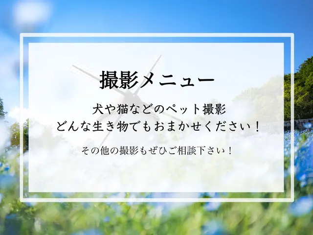 大切なご家族のワンちゃん猫ちゃん、様々な動物を自然体に可愛く撮影いたします！
