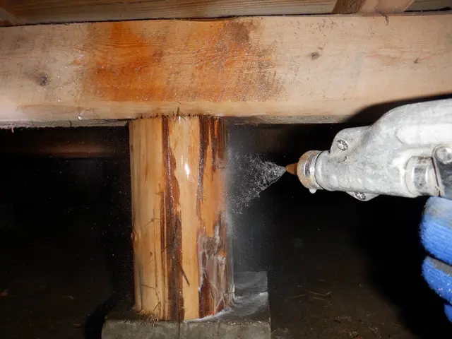 シロアリ予防駆除！点検調査・見積り(無料)サービスの画像