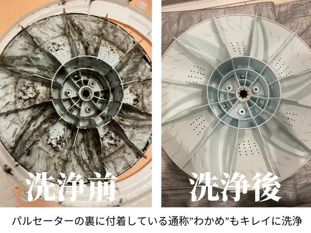 洗濯したのに衣服に黒いワカメが付着するなら迷わず分解洗浄が効果的！サービスの画像