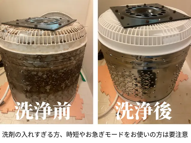 洗濯したのに衣服に黒いワカメが付着するなら迷わず分解洗浄が効果的！サービスの画像