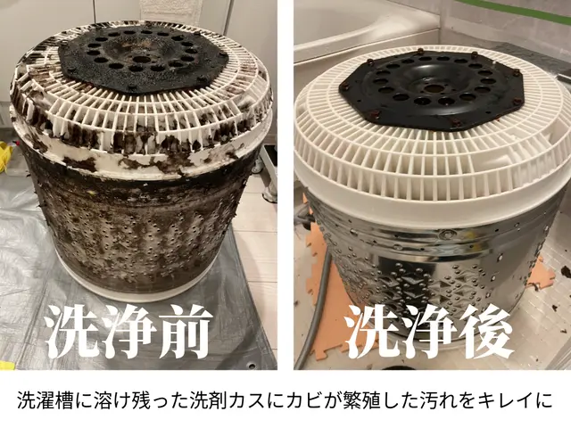 洗濯したのに衣服に黒いワカメが付着するなら迷わず分解洗浄が効果的！サービスの画像