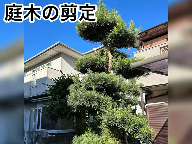 年間実績100件以上お庭の事は「熊本の便利屋さんスケット」にお任せ！サービスの画像