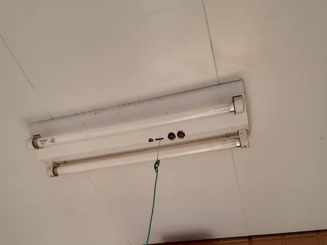 LED照明器具への交換やコンセント、スイッチなどの交換や修理もおまかせ下さいサービスの画像