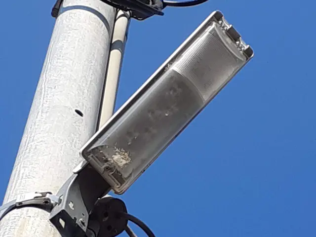 LED照明器具への交換やコンセント、スイッチなどの交換や修理もおまかせ下さいサービスの画像