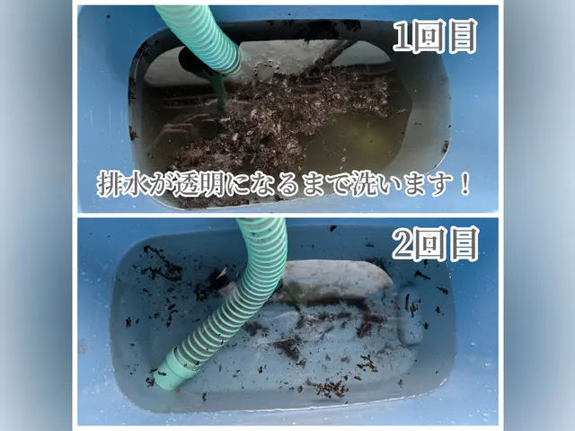 【ハウスクリーニング部門◎3年連続アワード受賞歴有り】高圧洗浄でカビ、埃除去！サービスの画像