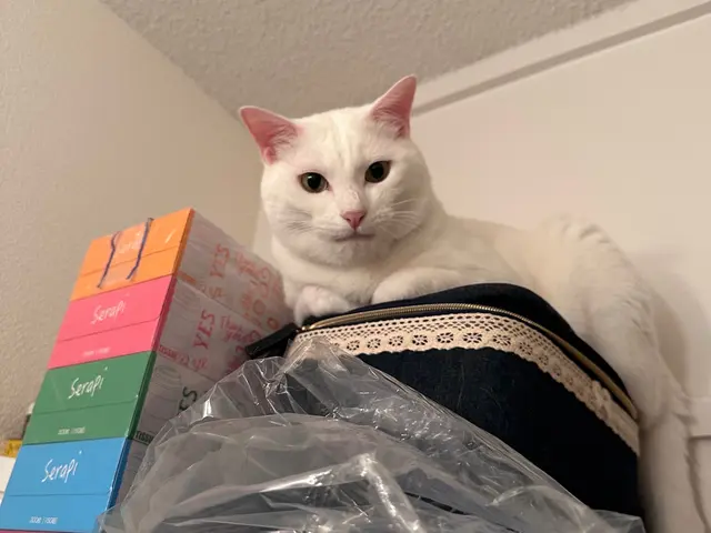 久留米市発！◆年中無休◎女性スタッフ同行可能◎些細なご要望もお聞かせくださいサービスの画像