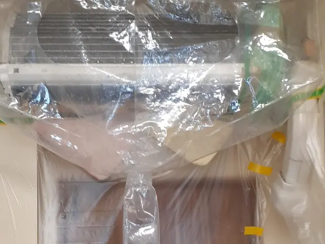 あなたの「大掃除を助けたい！」11月は早割１０％ＯＦＦでお家をスッキリしましょ♪サービスの画像