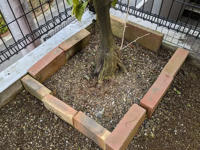 草むしり(手抜き除草)サービスの画像