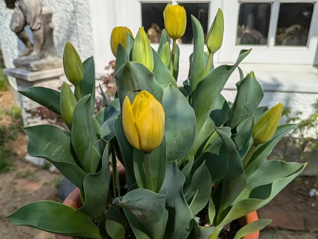 お客様の大切なお庭を丁寧に仕上げます！サービスの画像