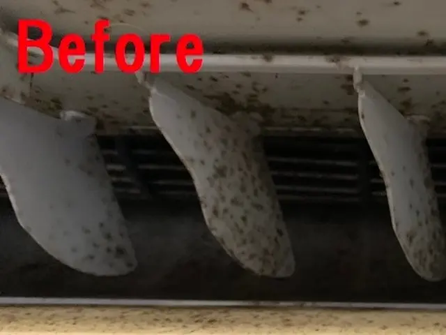 エアコンクリーニング！除菌・防カビ　確かな技術！サービスの画像