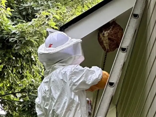 【環境省の認定事業者】害虫駆除専門のスタッフが対応致します！24時間対応可能ですサービスの画像