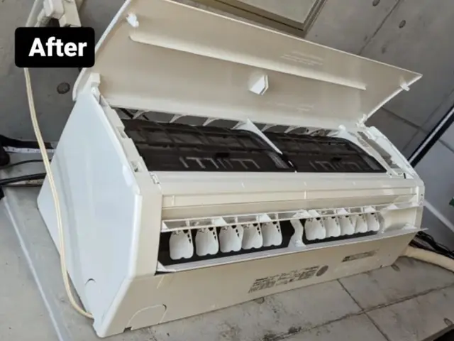 《年中無休》納得価格の徹底清掃！お子様、ペットに安心の抗菌コーティングも！サービスの画像