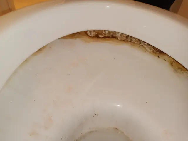 初回利用◎返信24時間以内◎クレカ払◎損保加入◎駐車代金上限負担◎早割採用◎サービスの画像