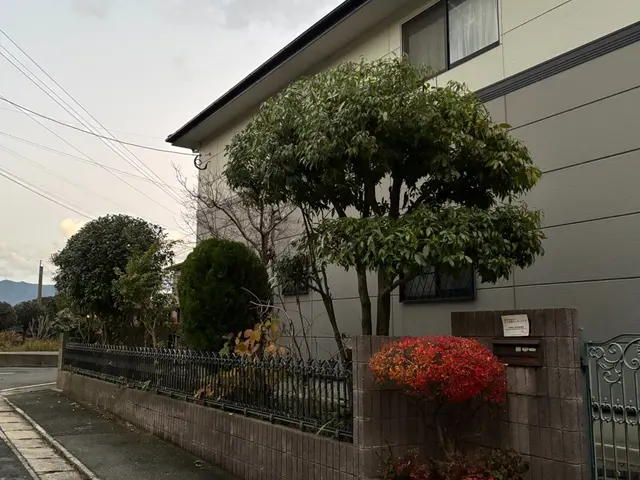 庭木の剪定・お手入れ（低木・小規模対応）サービスの画像