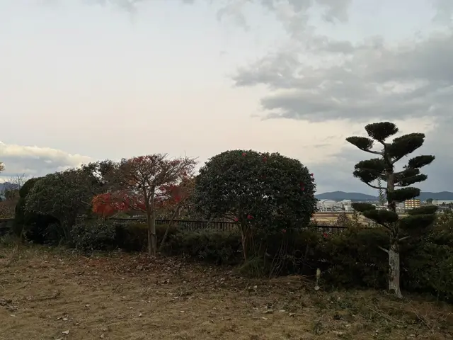 庭木の剪定・お手入れ（低木・小規模対応）サービスの画像