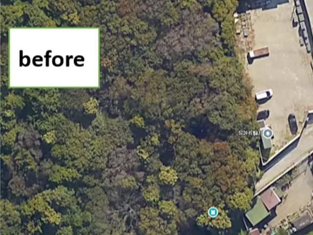 【創業53年】庭木1本から20,000m2の森林皆伐まで！サービスの画像