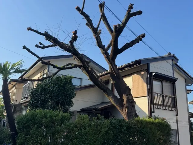 【創業53年】庭木1本から20,000m2の森林皆伐まで！サービスの画像