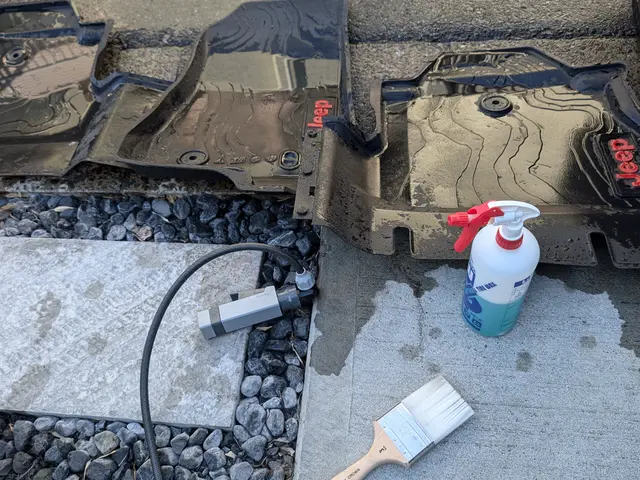 ペットの毛などもスッキリ綺麗に！ご自分では大変な作業はお任せください！サービスの画像