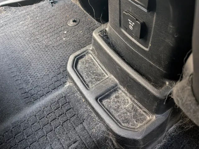 ペットの毛などもスッキリ綺麗に！ご自分では大変な作業はお任せください！サービスの画像