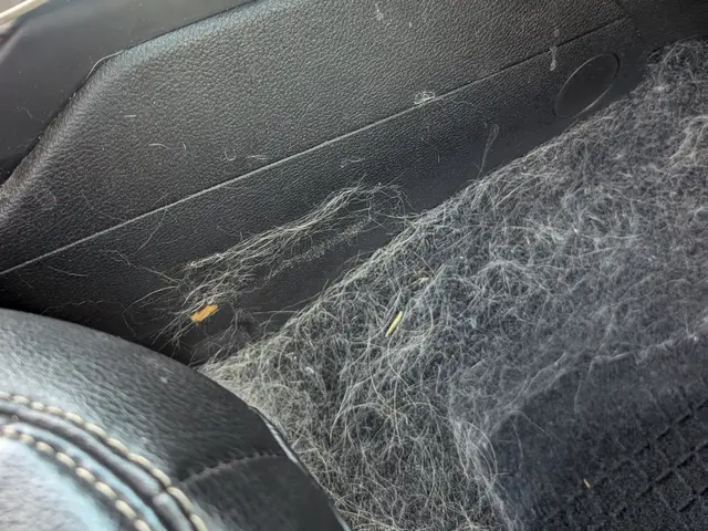 ペットの毛などもスッキリ綺麗に！ご自分では大変な作業はお任せください！サービスの画像