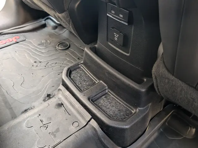 ペットの毛などもスッキリ綺麗に！ご自分では大変な作業はお任せください！サービスの画像