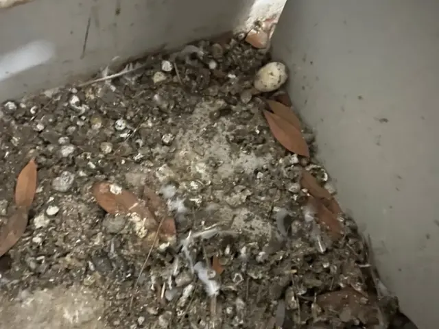 経験豊富なスタッフが作業を行います。サービスの画像