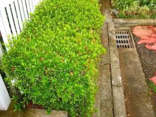 【すべて自社対応】対応地域外の予約も相談可◆年中無休・24時間対応可能♪サービスの画像