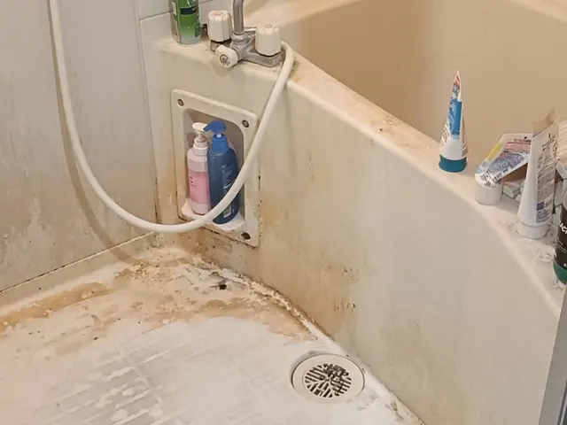 ◆年中無休・土日祝もご予約大歓迎◎営業時間外も対応可◎アフターフォロー万全サービスの画像