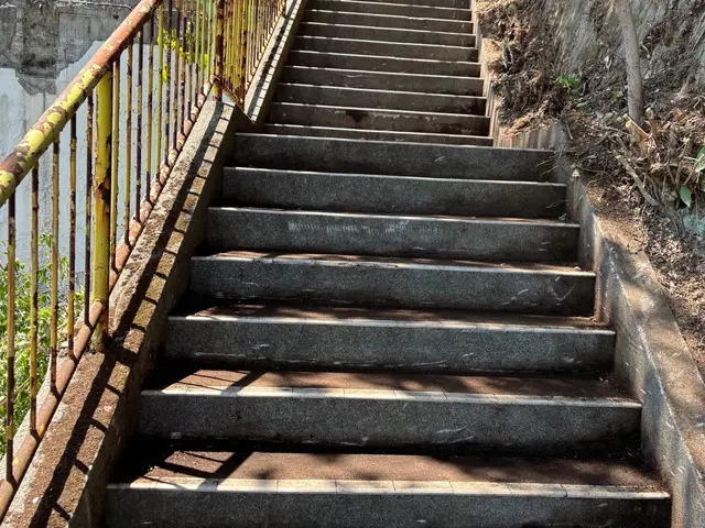 駐車場　お庭　お持ちの土地で、雑草や竹で　お困りの方、ご連絡お待ちしてますサービスの画像