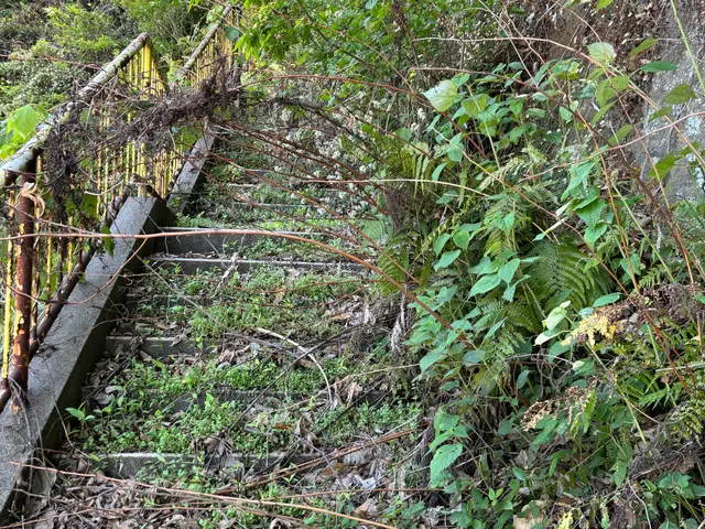駐車場　お庭　お持ちの土地で、雑草や竹で　お困りの方、ご連絡お待ちしてますサービスの画像